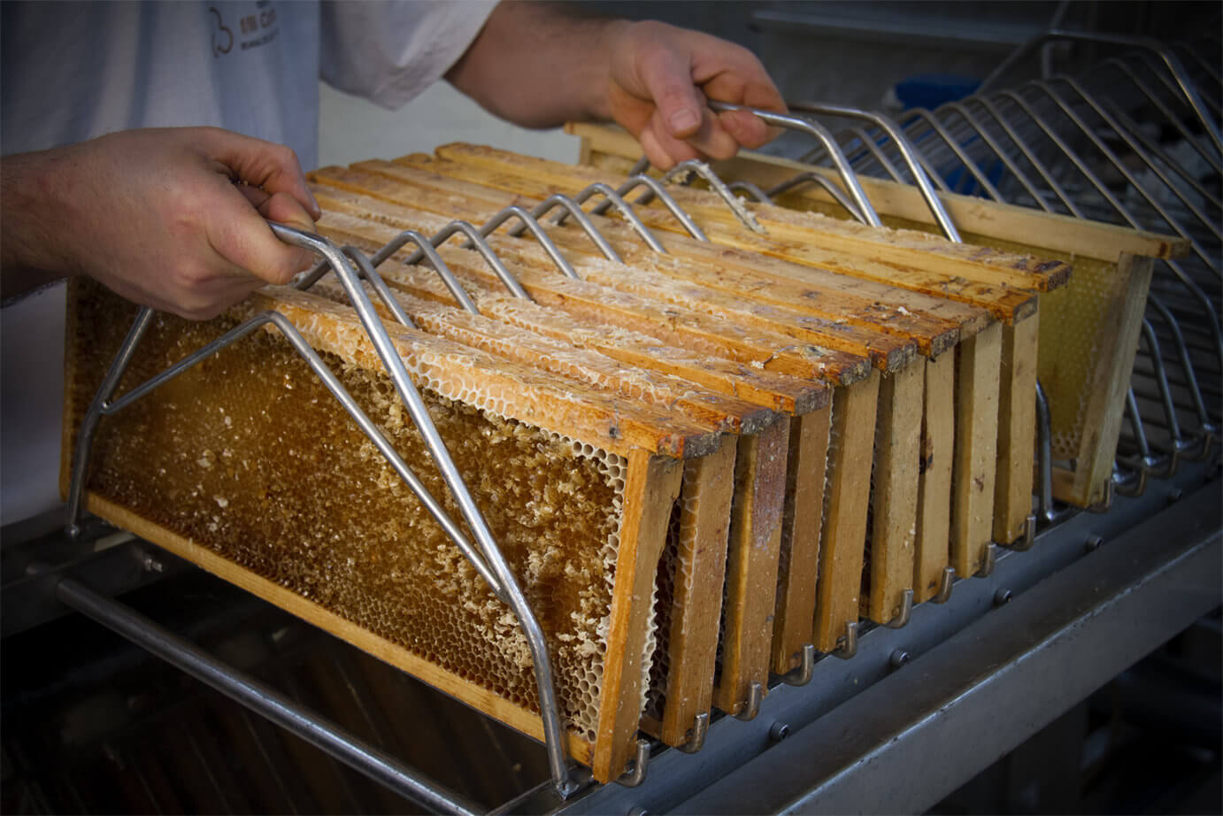 attrezzatura miele Comaro